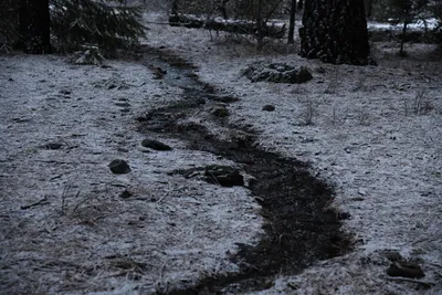 DSC_5836 (Large).JPG